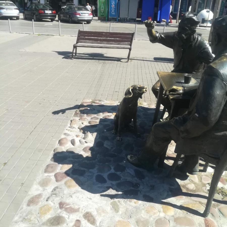 Apartmán Suvi Centar Ni Exteriér fotografie